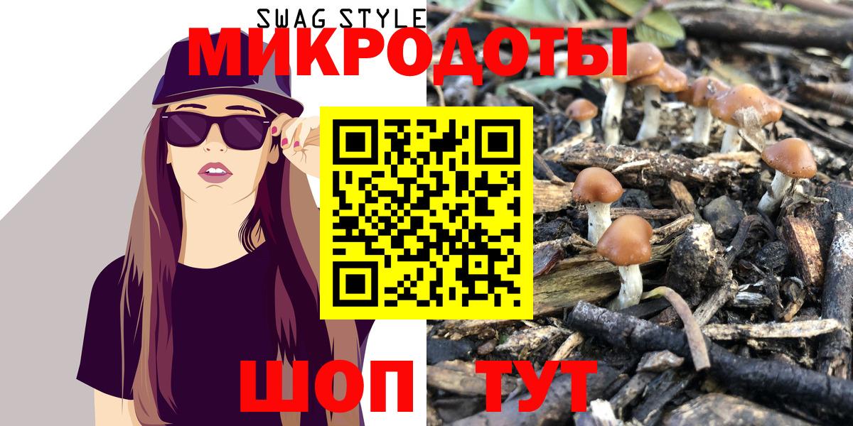 Псилоцибиновые грибы прущие грибы Курчалой