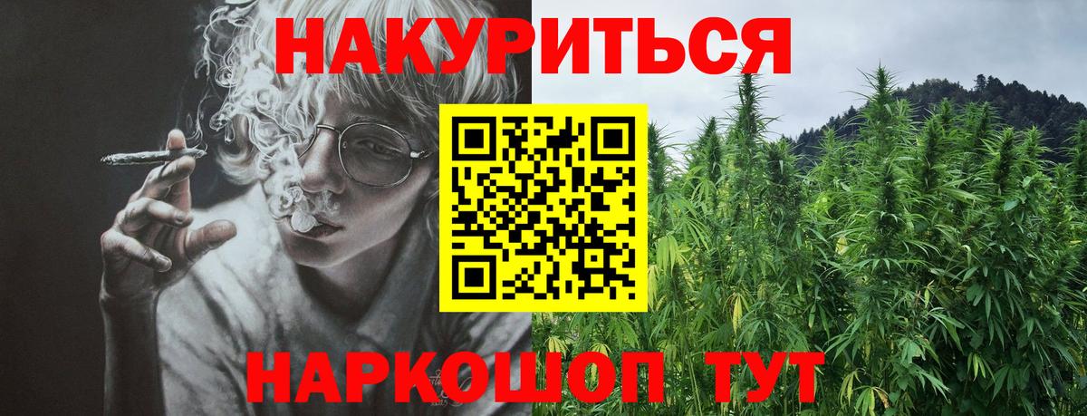 Конопля марихуана Курчалой